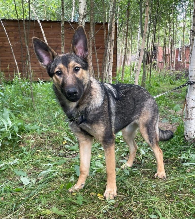 Клэр - 3